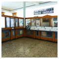 Photo 3 of Watkins Museum of History