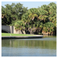Lagoon