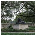 Photo 2 of Audubon Zoo