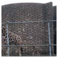Giraffe house