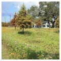 Photo 4 of Lafitte Greenway