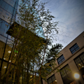 Photo 15 of MIT.Nano