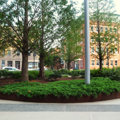 Photo 28 of Northeastern University Interdisciplinary Science and Engineering Complex
