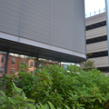 Photo 29 of Northeastern University Interdisciplinary Science and Engineering Complex