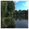 Photo 2 of Boston Public Garden