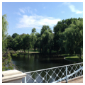 Photo 3 of Boston Public Garden