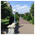 Photo 4 of Boston Public Garden