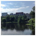 Photo 5 of Boston Public Garden