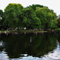 Photo 5 of Boston Common