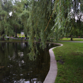 Photo 7 of Boston Common