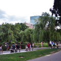 Photo 8 of Boston Common