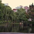 Photo 9 of Boston Common