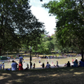 Photo 11 of Boston Common