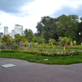 Photo 13 of Boston Common