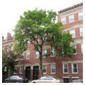 Photo 7 of Monument Square