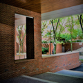 Photo 7 of John F. Kennedy School of Government