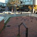 Photo 3 of Harvard Square Station