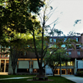 Photo 5 of River Houses, Harvard University