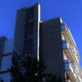 Photo 5 of Peabody Terrace