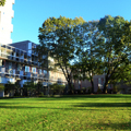 Photo 7 of Peabody Terrace