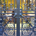 Photo 12 of Widener Library