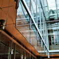 Photo 6 of Fogg Art Museum