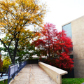 Photo 2 of Carpenter Center for the Visual Arts