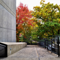Photo 3 of Carpenter Center for the Visual Arts