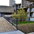 Photo 8 of Carpenter Center for the Visual Arts