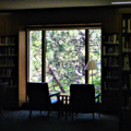 Photo 8 of Harvard Yard Libraries