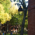 Photo 5 of Massachusetts Hall