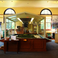Photo 3 of Arnold Arboretum