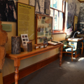 Photo 9 of Arnold Arboretum