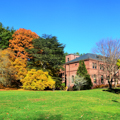 Photo 14 of Arnold Arboretum