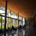 Photo 35 of Hayden Library (Bldg. 14)
