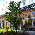 Photo 36 of Hayden Library (Bldg. 14)