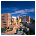 Ray and Maria Stata Center (Bldg. 32)