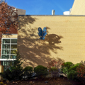 Photo 4 of MIT Alumni Swimming Pool and Wang Fitness Center (Bldg. 57)