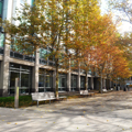 Photo 11 of Koch Biology Building (Bldg. 68)