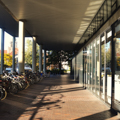 Photo 3 of Gund Hall