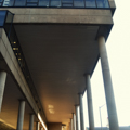 Photo 4 of Gund Hall