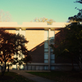 Photo 4 of Harvard-Yenching Institute