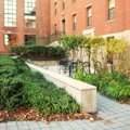 Photo 8 of Divinity Hall