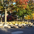 Photo 20 of Science Center