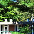 Photo 3 of Center for the Study of World Religions