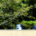 Photo 13 of Center for the Study of World Religions