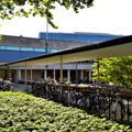 Photo 10 of Harkness Commons and Dormitories