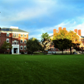 Photo 7 of Radcliffe Yard