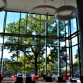 Photo 24 of The Sert Campus, Boston University (Mugar Library, Law School and Library, and Sherman Student Union)