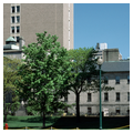 Photo 2 of Bulfinch Pavilion, Massachusetts General Hospital